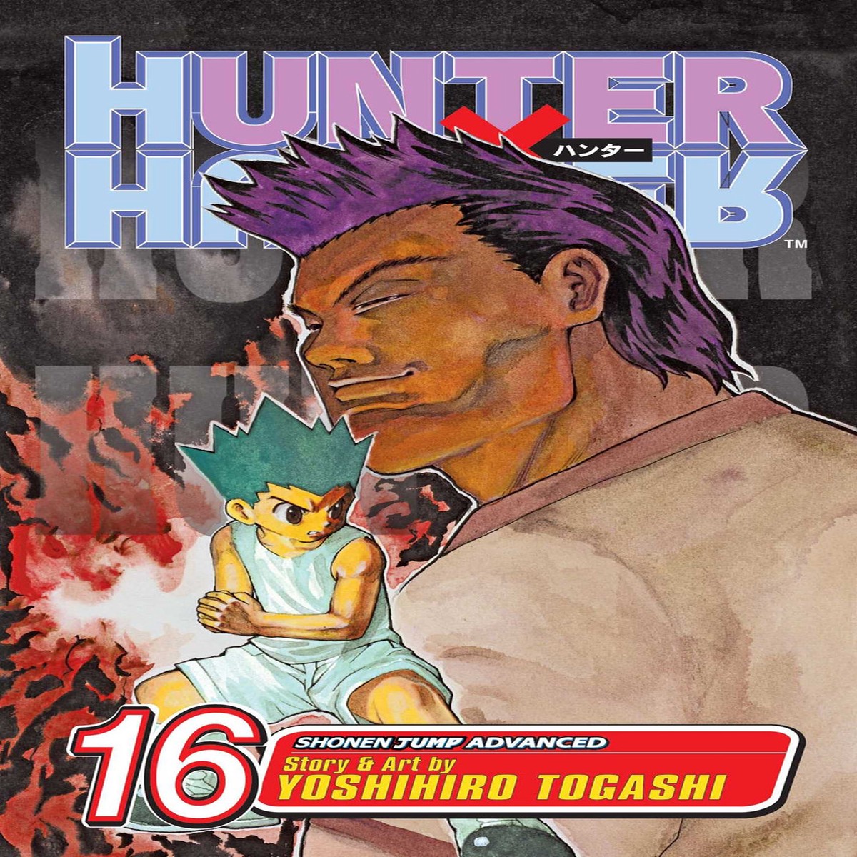 HUNTER X HUNTER VOL 16
