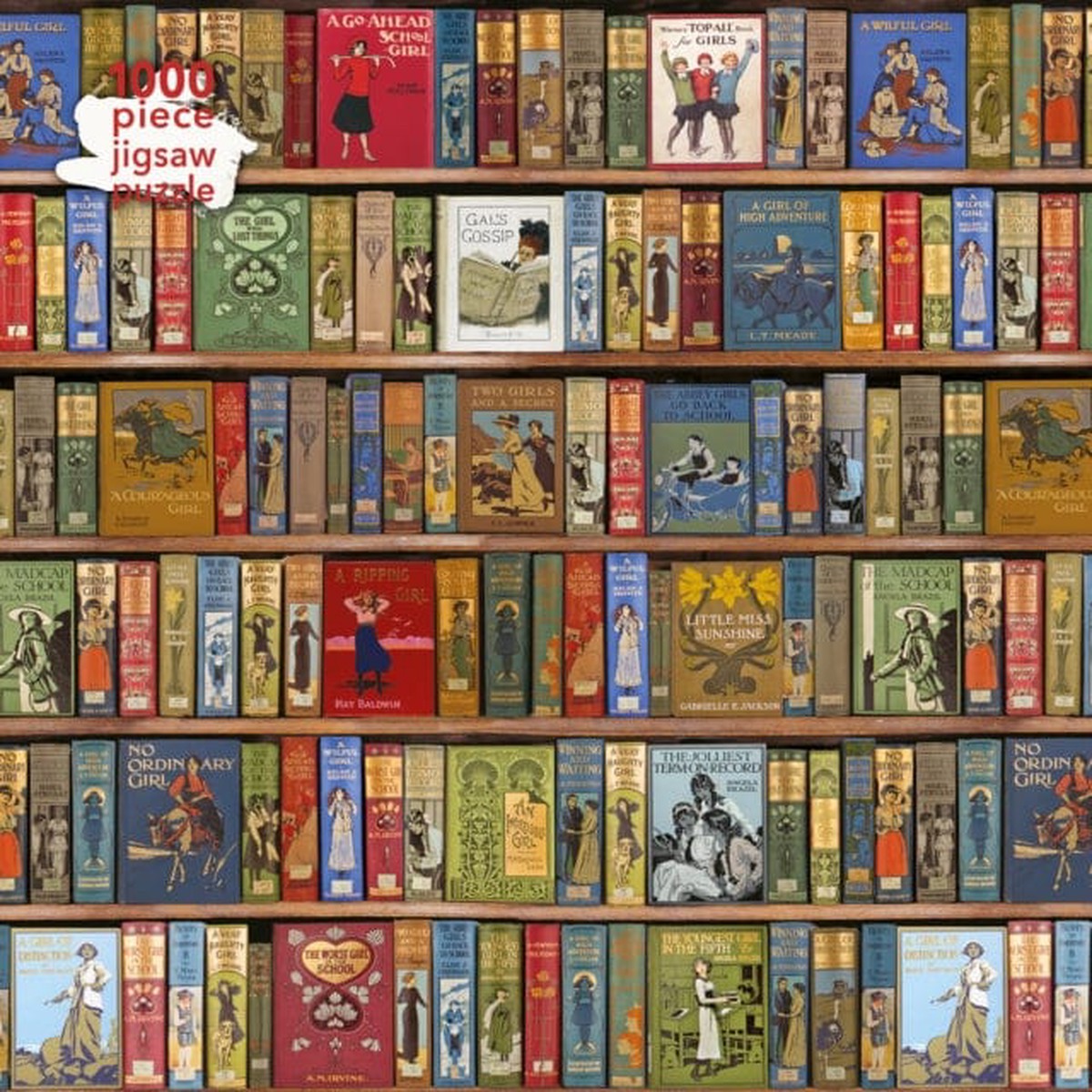 Adult Jigsaw Puzzle Bodleian Library: High Jinks Bookshelves 1000-piece Jigsaw Puzzles by Flame Tree Studio