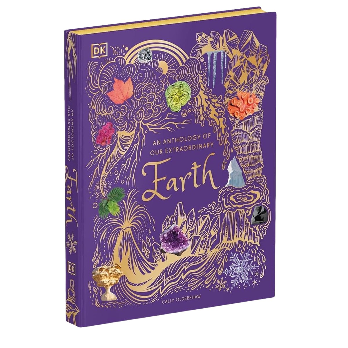 An Anthology of Our Extraordinary Earth: Discover the Awe-Inspiring Wonders of Planet Earth (DK Children's Anthologies) by Cally Oldershaw - Ages 7+ - Hardback