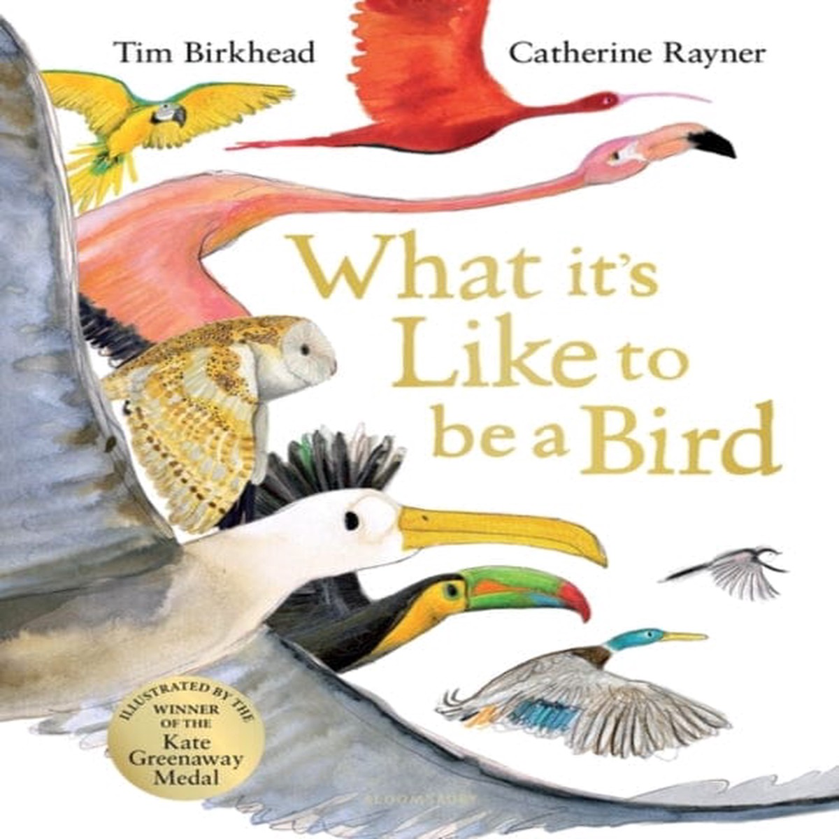 What it’s Like to be a Bird by Tim Birkhead